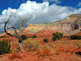 Maybe you would like to learn more about one of these? Ghost Ranch Education Retreat Center Inside Santa Fe