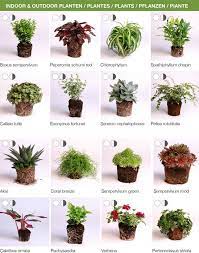 Blumentopfe Vasen Modul Fur Den Vertikalen Garten Karoo Grau Ein Designerstuck Von Stadtlandbalkon Bei Dawanda Pflanzen Vertikaler Garten Pflanzenwand