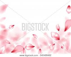 Find & download free graphic resources for beauty salon background. Apricot Flower Flying Vector Photo Free Trial Bigstock