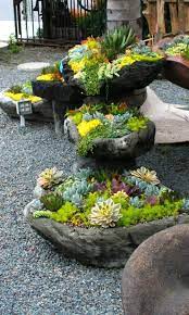 Guest Blogger Spring Succulents Gardening Plant Ideas Rock Garden Landscaping Plants Succulent Rock Garden