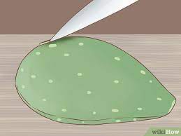 Does cactus juice make you halucinate? 3 Ways To Extract Cactus Juice Wikihow