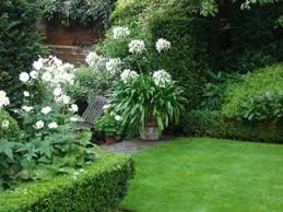 White Agapanthus And Anemone Japonica Honorine Jobert Garden Renaissance Garten Design