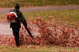 The 10 Best Leaf Blowers