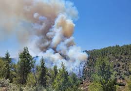 בית הדפוס 32 (כנפי נשרים 23), ירושלים. Large Fire Burning In The Jerusalem Neighborhood Of Givat Shaul The Jerusalem Post