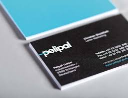 Pelipal Redesign By Hatch Berlin