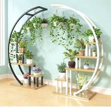 Plants For Bedroom Plants Moving Towards Sunlight Indoor Plants That Don T Need Sunlight Planet 9 Pl House Plants Decor Garden Rack House Plants Indoor