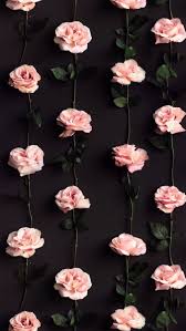Pinterest Ahtzirimndez Flower Wallpaper Cellphone Background Iphone Wallpaper