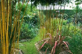 Looking for plant pots, planters and containers for the garden? All About Bamboo New Zealand Handyman Magazine