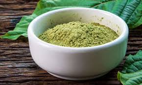 Image result for Kratom