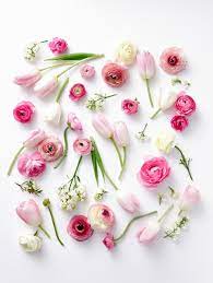 Pin On I 3 Flowers