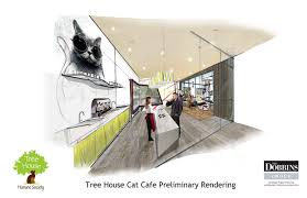 Filed under:cat cafe, cat cafe location, chicago, chicago animal shelters, chicago cat cafe, tree house, tree house humane society, west rogers park. Chicago S 1st Cat Cafe Opens Soon But Is Less Grand Than First Planned West Ridge Chicago Dnainfo