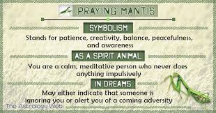 Praying Mantis Meaning And Symbolism The Astrology Web In 2020 Praying Mantis Spirit Animal Meaning Praying Mantis Symbolism