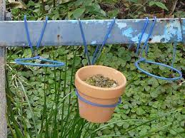 Do you think it's the kind of fence you'd be installing around your home or property? P1230281 By A Small Lab Via Flickr Plants Pot Hanger Planting Pots