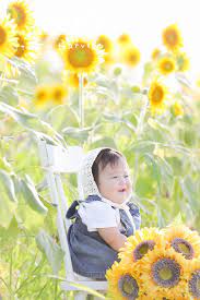 アホールニューワールド 赤ちゃん 家族写真 ひまわり畑 赤ちゃん