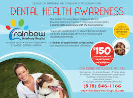 Location — the costs of dental treatments vary by region. Pet Dentistry In Burbank Rainbow Veterinary Hospital