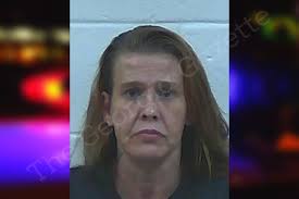 Danielle Flowers — Jackson County Jail Bookings