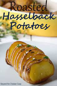 Roasted Hasselback Potatoes Recipe Savoury Food Hasselback Potatoes Recipes