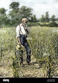 Farmers Revolt In The Populist Era | Us History Ii (Os Collection)