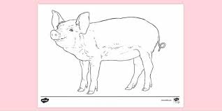 Realistic animal coloring pages pleasant to help our blog, with this moment i am going to explain to you concerning realistic animal coloring pages. Free Printable Realistic Animal Colouring Page Colouring Sheets