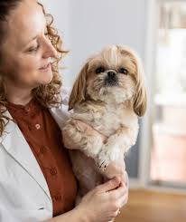 Meet Dr. Casey Havemann of "AVS", Ambulatory Veterinary Surgery