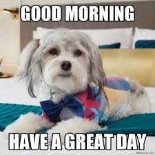We did not find results for: Good Morning Have A Great Day Dog Meme Memezila Com