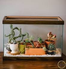 Easy Diy Terrarium From An Old Fish Tank Diy Succulent Terrarium Diy Fish Tank Fish Tank Terrarium
