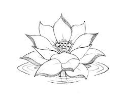 Lotus Flower Lotus Flower Blooming On The Water Coloring Page Lotus Flower Colors Lotus Flower Mandala Lotus Drawing