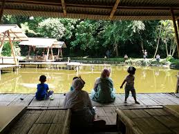 Ledok Gebang Fishing Resto Tempat Makan Dan Pemancingan Yang Asik Di Jogja Tempat Asik