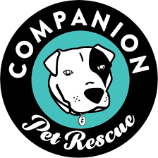 Companion pet rescue & transport of w. Home Companion Pet Rescue