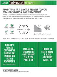 Advecta Ii Flea Treatment For Large Cat 4 Monthly
