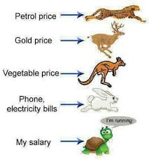 Enjoy the meme 'petrol price hike' uploaded by punk1234. 25 Best Memes About Petrol Price Petrol Price Memes