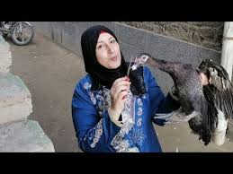 Maybe you would like to learn more about one of these? Ù†Ø³Ø§Ø¡ ØªØ°Ø¨Ø­ Ø§Ù„Ø¨Ø· Women Killing Chickens Youtube Ø­Ø·Ù…Øª Ù„ÙˆØ­Ø© Ù†Ø³Ø§Ø¡ Ø§Ù„Ø¬Ø²Ø§Ø¦Ø± Ù„Ù„Ø±Ø³Ø§Ù… Ø§Ù„Ø¥Ø³Ø¨Ø§Ù†ÙŠ Ø§Ù„Ø´Ù‡ÙŠØ± Ø¨Ø§Ø¨Ù„Ùˆ Ø¨ÙŠÙƒØ§Ø³Ùˆ Ø§Ù„Ø±Ù‚Ù… Ø§Ù„Ù‚ÙŠØ§Ø³ÙŠ Ù„Ù…Ø²Ø§Ø¯Ø§Øª Ø§Ù„Ø£Ø¹Ù…Ø§Ù„ Ø§Ù„ÙÙ†ÙŠØ© Ù„ØªØµØ¨Ø­ Ø§Ù„Ø£ØºÙ„Ù‰ Ù…Ù† Ù†ÙˆØ¹Ù‡Ø§ Ø¹Ù„Ù‰ Ø§Ù„Ø¥Ø·Ù„Ø§Ù‚ Issac Wright