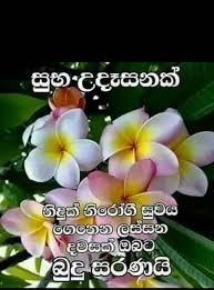 Check spelling or type a new query. Layanal Thalagala On Twitter Https T Co Y4h6uona43 Twitter