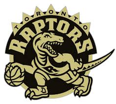 Can't find what you are looking for? Raptors Rebranding Which Colour Scheme Fits Best The Star