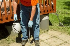 Boost your pest control company's local authority by following our 7 local seo strategies. How To Do Your Own Pest Control For Less And Better Than A Professional