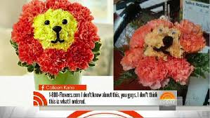 Whether you're looking to buy flowers and gifts like roses , orchids, gift baskets, bonsai trees, flowering plants or wedding bouquets, we have the highest quality blooms and the. 1 800 Flowers Customers Complain About Wilted Valentine S Bouquets On Twitter Daily Mail Online