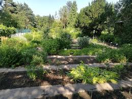 Am rombergpark, 44225 dortmund, deutschland adresse. Vom Klimawandel Bis Krauterkunde Der Botanische Garten Rombergpark In Dortmund Ladt Zu 75 Veranstaltungen Ein Nordstadtblogger