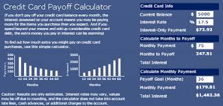 Credit Card Payoff Calculator Using Crystal Xcelsius