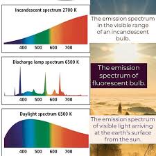 Fluorescent Lights Are Out Besides An Uneven Spectrum With Too Much Blue And Not Enough Reds They Contain Mer Visible Light Fluorescent Light Fluorescent Bulb