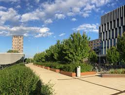 Check spelling or type a new query. Plaza Woudestein Erasmus Universtiteit Rotterdam Evenementendak Mostert De Winter