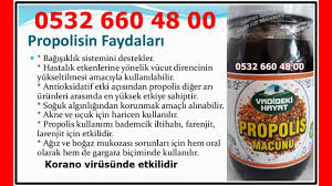 Propolis Macunu Faydalari Make It Yourself Propolis Poland Springs