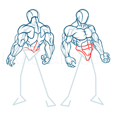 These muscles are able to move the upper limb as they originate at the vertebral column and insert onto either the clavicle scapula or humerus. Pin On Dessin Manga