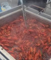 Harris Brake lake fishing