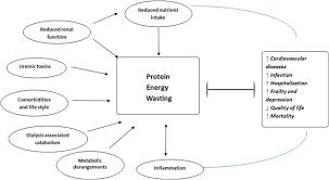 Assess skills for monitoring parenteral nutrition formula from initiation to achievement of composition goal. References In Protein Energy Wasting And Nutritional Supplementation In Patients With End Stage Renal Disease On Hemodialysis Clinical Nutrition