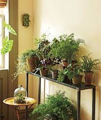This corner plant stand can also be successfully used indoors. Makeover A Corner Of Your Room Plant Decor Indoor Plant Table Indoor Plants