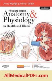 Download Human Anatomy And Physiology Pdf 10th Edition Notes