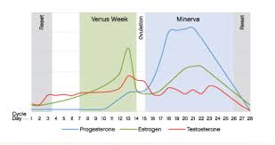 Premenstrual Acne Why We Get It How To Treat It