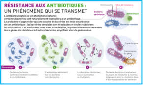 Le slogan lancé en 2002 les antibiotiques, c'est pas automatique avait marqué les esprits et permis une baisse significative de 15% de la consommation c'est pourquoi l'assurance maladie souhaite de nouveau mobiliser sur le sujet d'autant que dans de nombreux cas les antibiotiques ne présentent. Le Bon Usage Des Antibiotiques Par Les Patients Laboratoire D Analyses Medicales