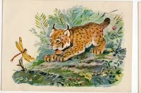 Russian Postcard Lynx With Dragonfly Ussr By Sharonfostervintage 6 00 Cute Animal Illustration Animal Illustration Postcard