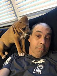 Member update and request for visitors